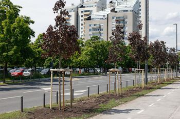 Video: 21 dreves ob UEFA evropskem prvenstvu do 21 let