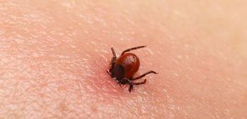 Akcija cepljenja proti klopnemu meningoencefalitisu v hali L (Golovec)