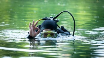 Utrinki z Dneva in noči na Krki