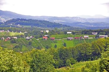 Za vikend v KS Dolž