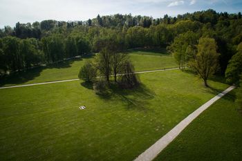 Urejamo drevesa v Tivoliju
