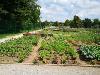 Poletna delavnica na vrtičkih