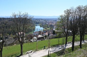 Kettejev drevored ena najpomembnejših znamenitosti v Novem mestu