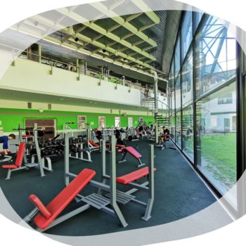 Začetek vodenih vadb - fitnes Vič