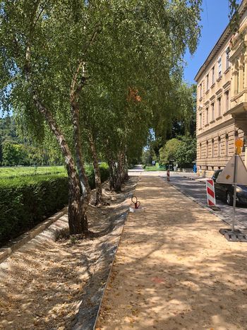 Ta teden bomo zaključili dela na Savinjskem nabrežju 