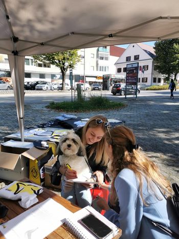 Vpis v Študentski klub GROŠ