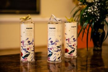 Znani prejemniki nagrad in priznanja Ivane Kobilca 2021 Znani prejemniki nagrad in priznanja Ivane Kobilca 2021