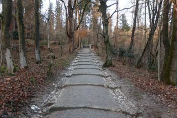 Na Rožnik po na novo urejeni poti