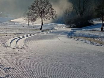 V Stanežičah smo uredili progo za tek na smučeh V Stanežičah smo uredili progo za tek na smučeh