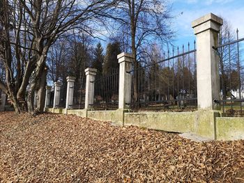 Z zadnjimi ureditvenimi deli že lepša podoba pokopališča na Golovcu