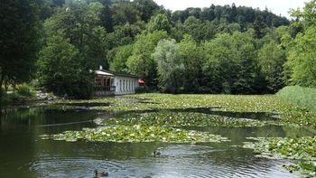 Svetovni dan mokrišč – za ljudi in za naravo