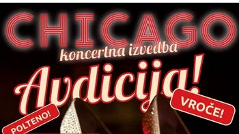 Zavod Novo mesto vabi k avdiciji za muzikal Chicago