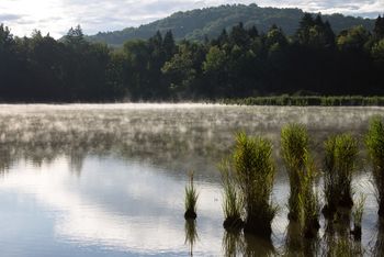 Barjanski družinski dan