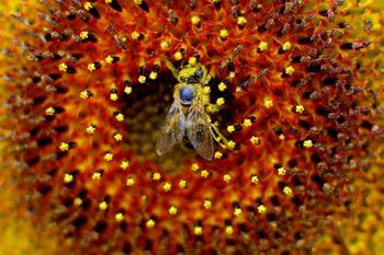 Odprtje fotografske razstave Dogodki v občini Radovljica 2016