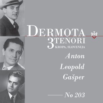 Zaključek Dermotovega leta z odprtjem Dermotove sobe v Korotanu na Dunaju