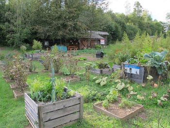 Zeleno javno naročanje živil za ponudnike