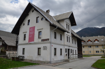 Izbrane podobe Bohinja