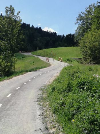 Kolesarska pot Bohinj Kolesarska pot Bohinj