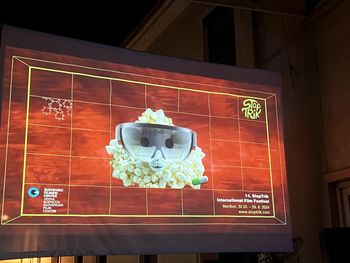 11 filmov, 1 ulica – Festival StopTrik pred Galerijo Ravne