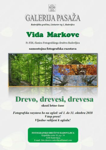 Fotografska razstava “Drevo, drevesi, drevesa”