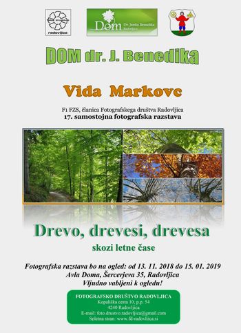 Fotografska razstava “Drevo, drevesi, drevesa skozi letne čase”