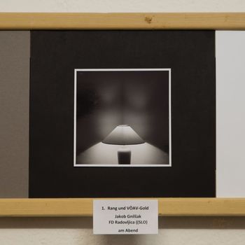 Zlata medalja fotografu Jakobu Gnilšku