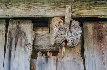 »Detajli in tihožitja«, fotografska razstava Janez Kramar, MF FZS, EFIAP