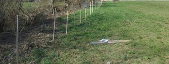 Vsebina razstave – Temenica, naša reka!