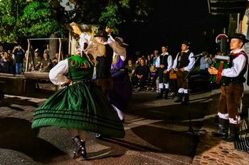 Vaški večer pod lipo