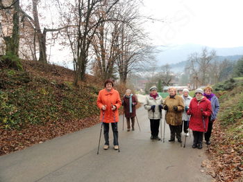 LAŽJI DRUŠTVENI POHOD