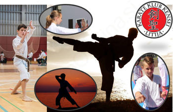 POSTANI KARATEIST ALI KARATEISTKA!