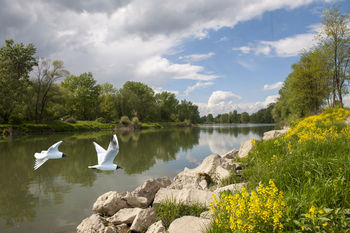 Seznanitev z aktivnostmi v zvezi škodo ob poplavah 2012