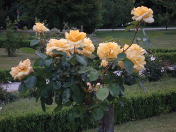 Literarno ustvarjanje naših učencev