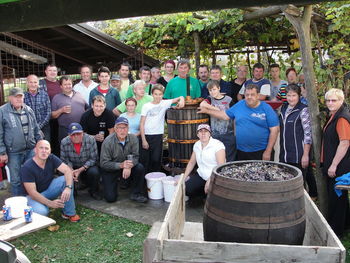 4. TRGATEV V PREPOLJAH