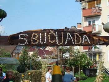 5. BUČIJADA 5. BUČIJADA