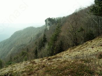 Planinski pohod društva na KOPITNIK (910m )- 22.3.2016