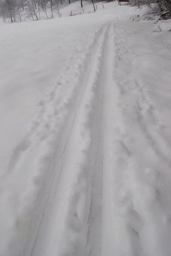 Urejena tekaška proga