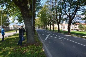 Jesenske delavnice na Škofijski gimnaziji Vipava