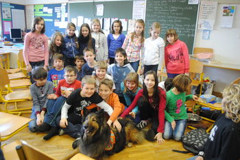 Veliko novega o psih