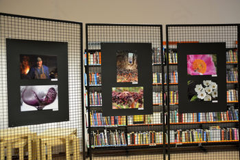 Razstava fotografij udeležencev programa U3ŽO MOCIS Slovenj Gradec