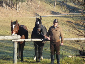 Blagoslov konj- Vranje