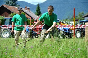  Regijske kmečke igre