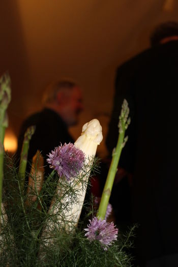 Praznik špargljev 2016 Praznik špargljev 2016