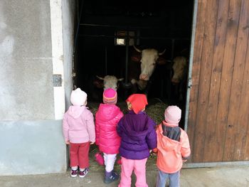 Spoznavanje kmetije z otroki v vrtcu