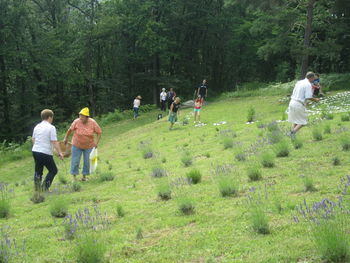 Sprehod po Javorski energijski poti