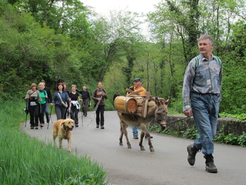 V Šmarjah bo ves mesec slavnostno