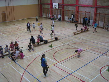Področno posamično tekmovanje v badmintonu za učence in učenke OŠ Koroške