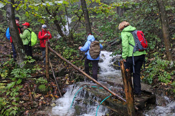 Sončki od Podlipe do Vrhnike