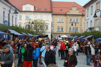 “Po rož’ce v mesto”