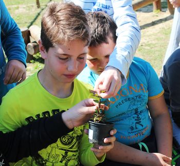 Dan Zemlje na POŠ Socka